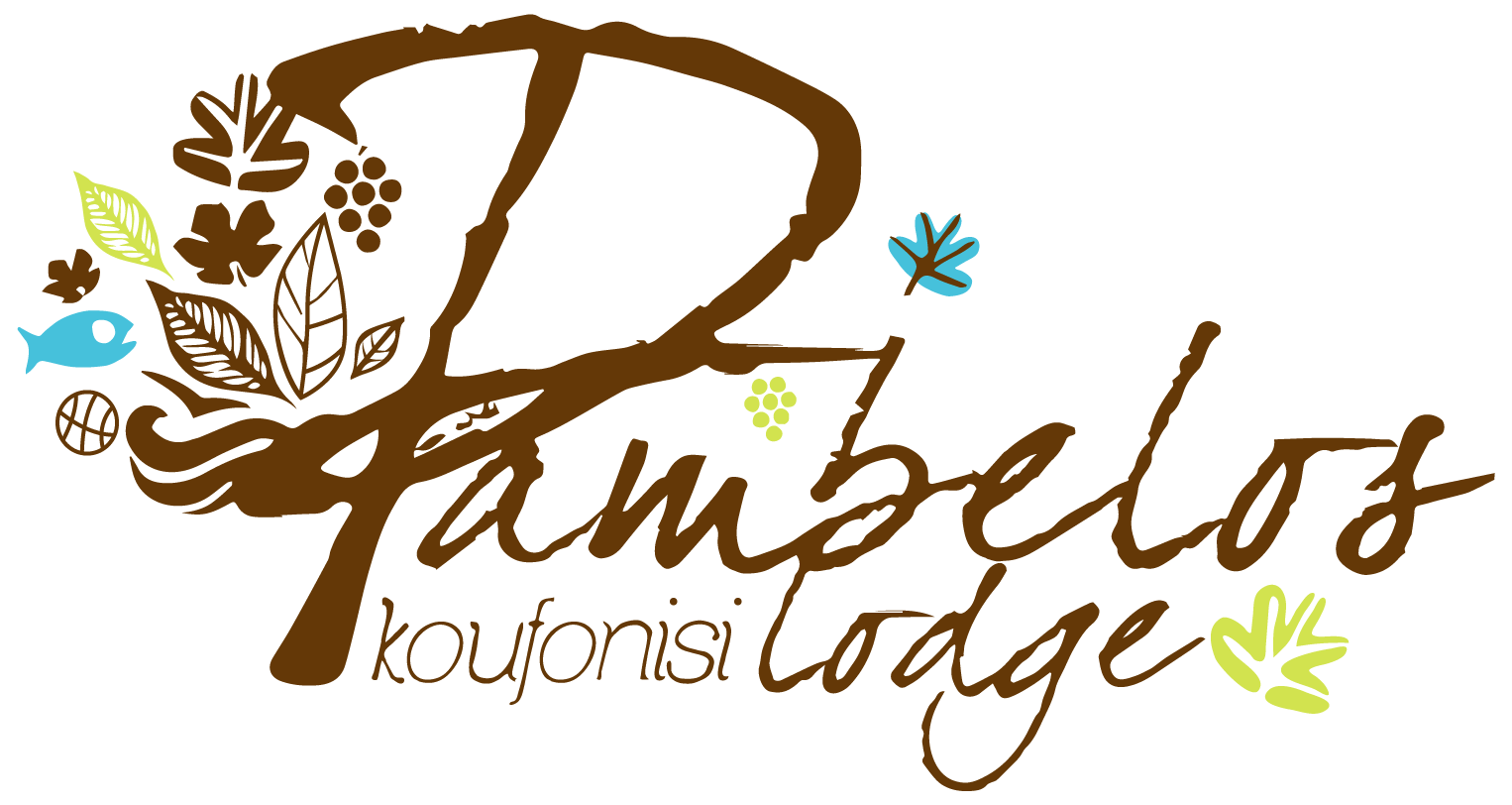default-logo
